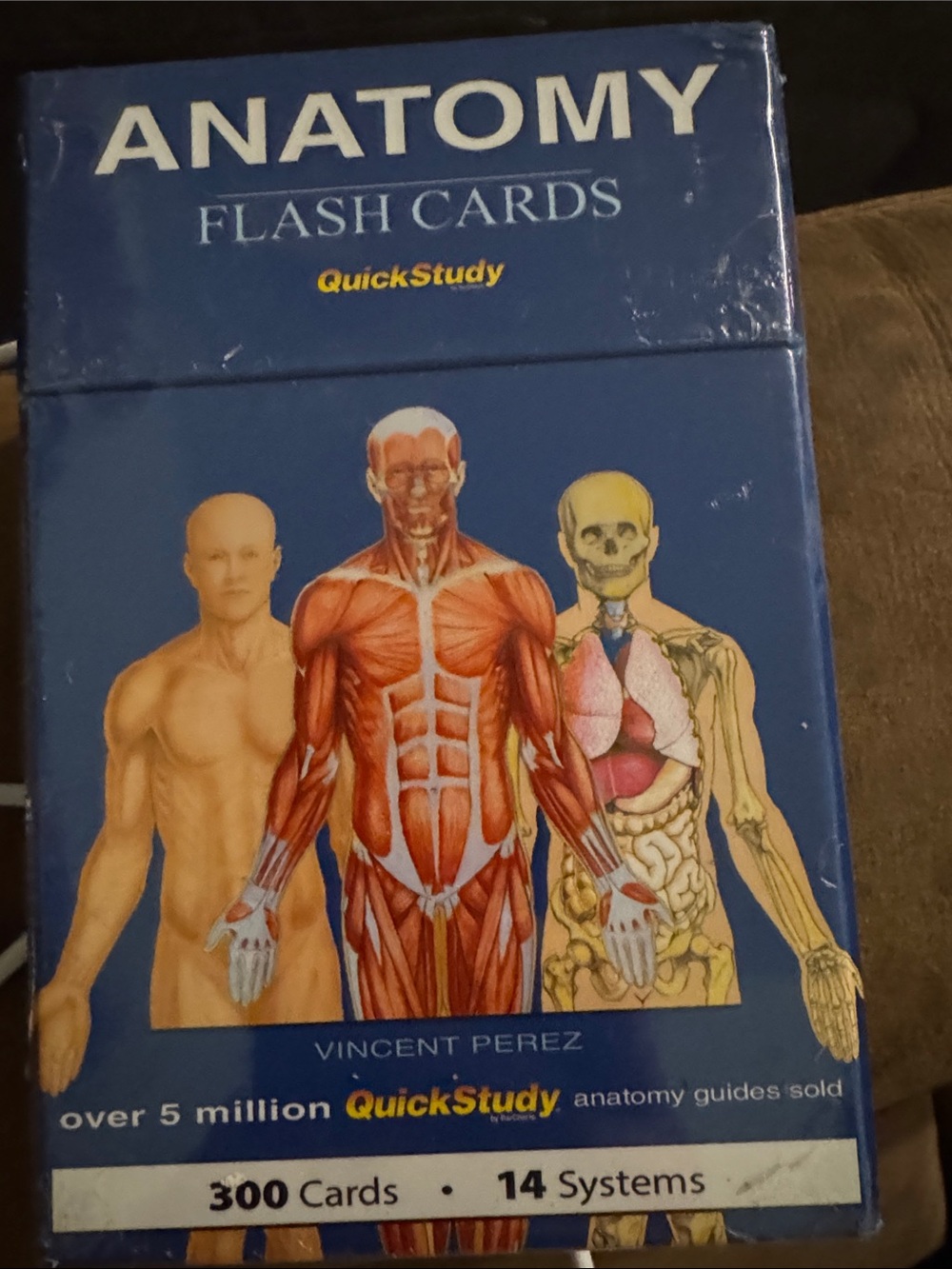 NWT Anatomy Flash Cards - QuickStudy (Blue) NEW Vincent Perez A & P